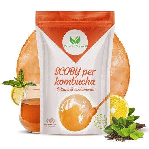 Bustina di SCOBY di kombucha Natural Probio